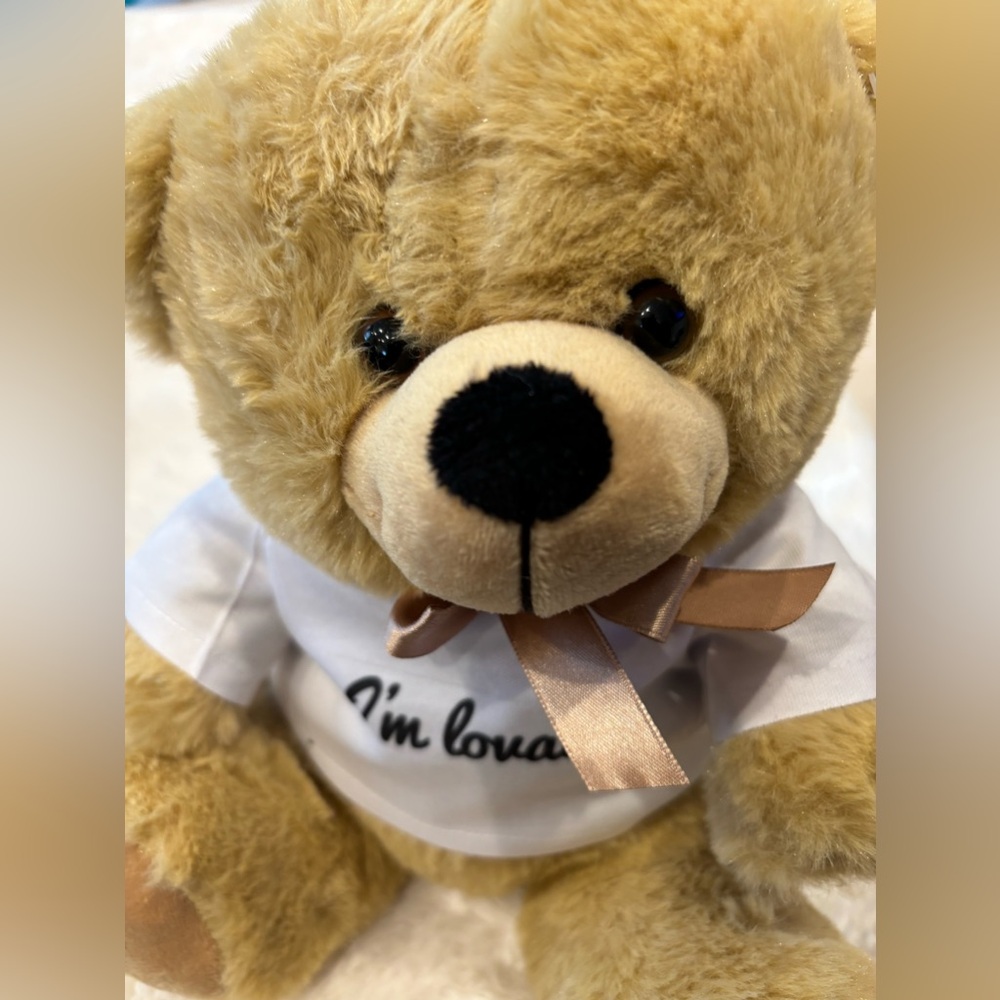“LOVABLE TEDDY BEAR”